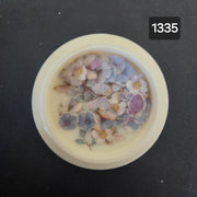 Nail Decoration - Watercolor Style Dried Flowers