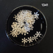 White Snowflake Nail Art